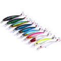 10-Piece: starter jerkbaits